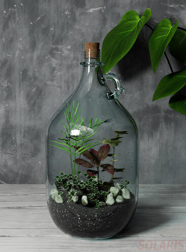 Terrarium - Render